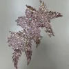 pink2