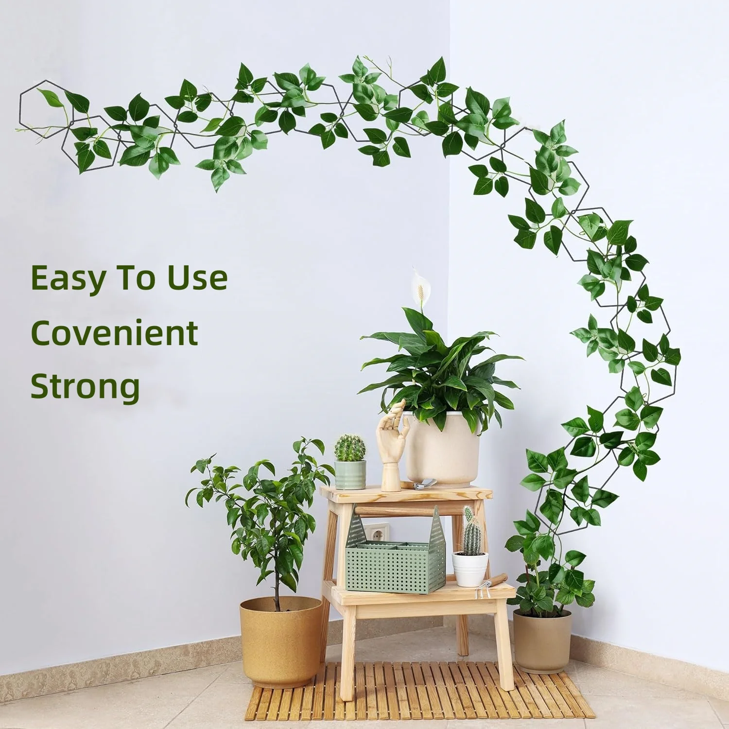 Accroche Plante Grimpante Lot 80 Clips Plantes Grimpantes - Support Mur Autocollant - Blanc Organisation Fils Câbles