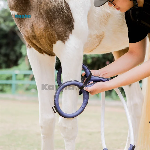 New Version PEMF Magnetic Therapy PMST Loop Pro B Magna Wave PEMF for Horses Pain Management