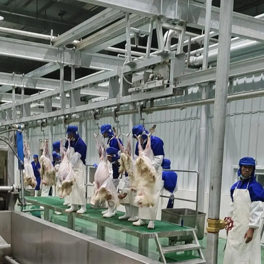 Advanced fully automatic sheep slaughtering production line equipment, steel slaughterhouse equipment for halal meat processing