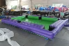 Violet-Vert