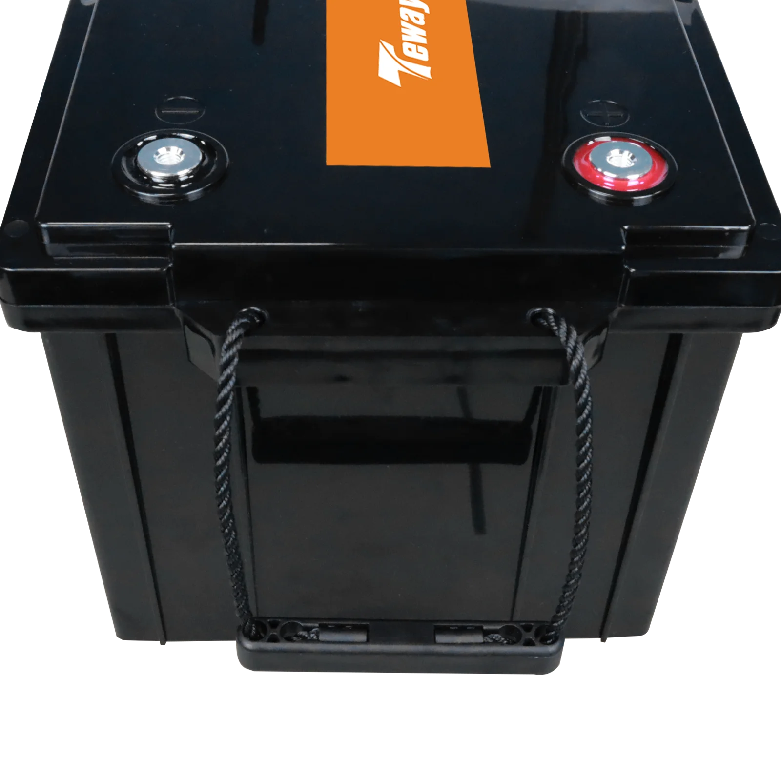 Tewaycell High Capacity LiFePO4 Battery Pack 12V 24V 36V 48V 50ah 100ah 150ah 200ah 300ah for Golf Cart