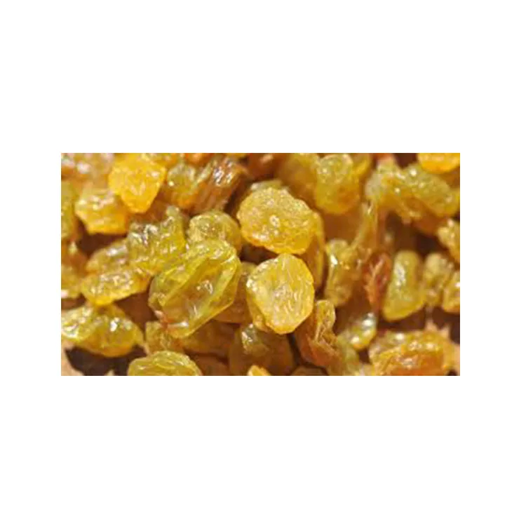 high quality Raisins Price $ 333 to $ 1000 / MT