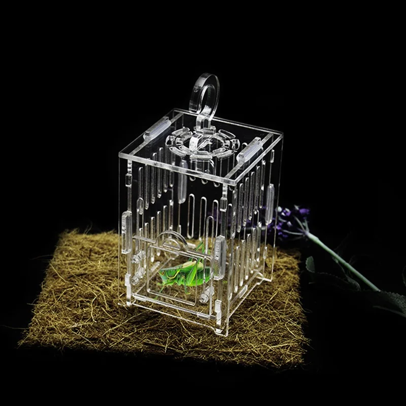Minkissy Casa Para Insectos: Jaula De Saltamontes Portátil Y Duradera | Ideal Para Niños Que Aman La Naturaleza