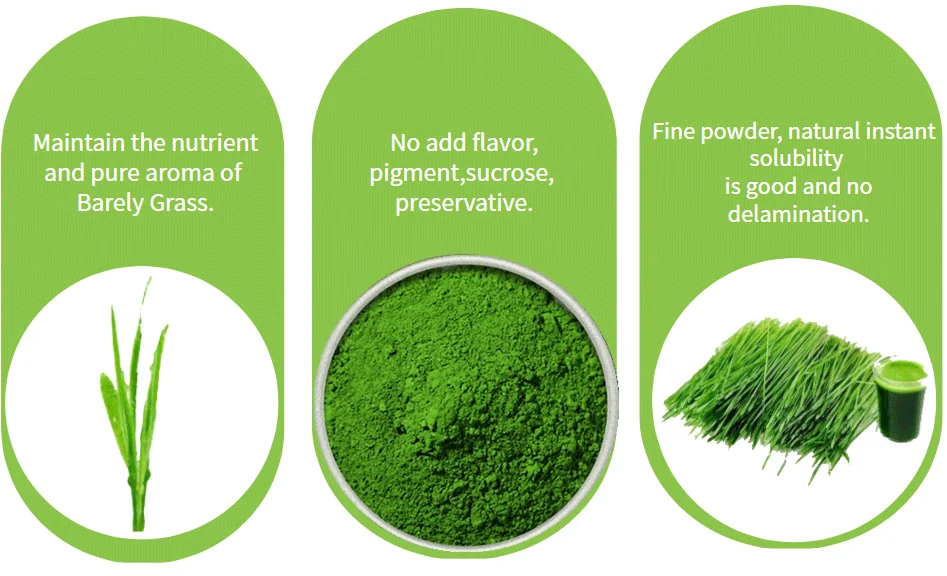 Natural Braley Grass Extract Powder Advantages