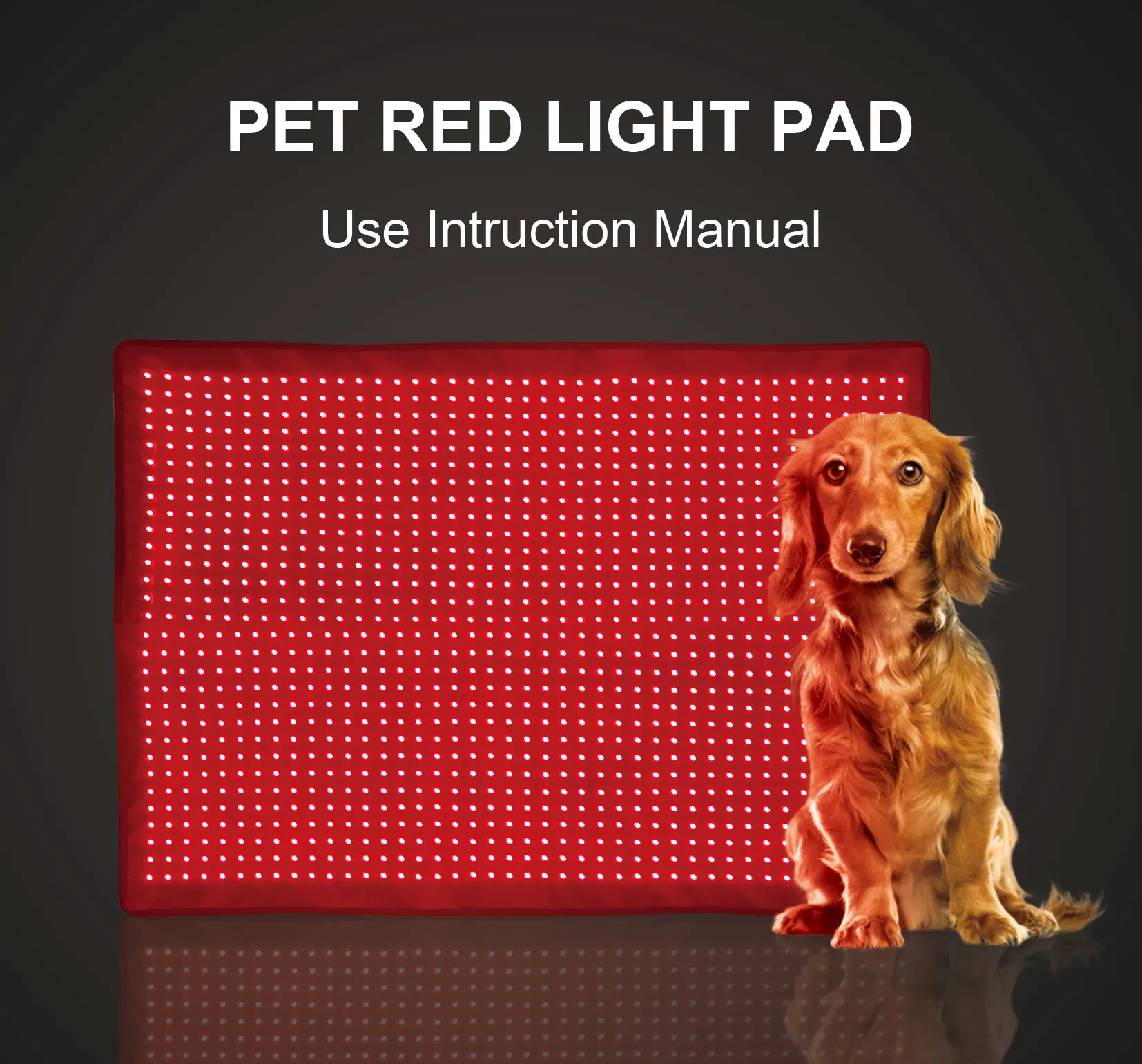 is red light therapy good for dogs