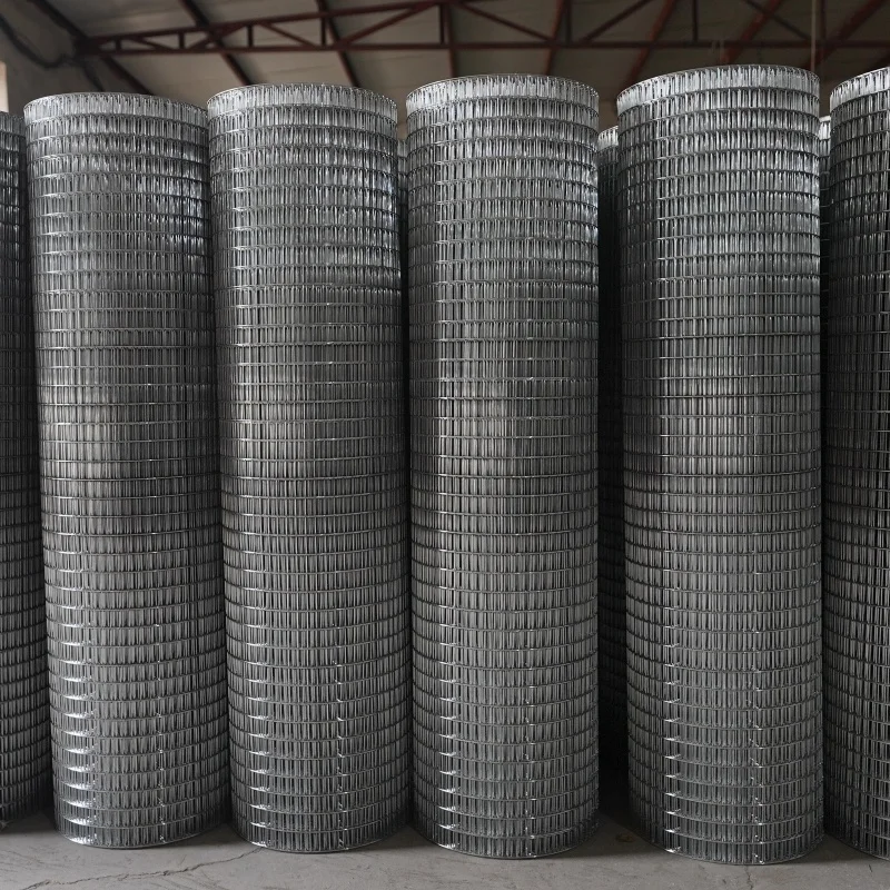 High Quality Factory Price Electric Galvanized Welded Iron Wire Mesh Roll  for Bird Cage Chicken Pens Rabbit Cages