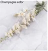 Champagne