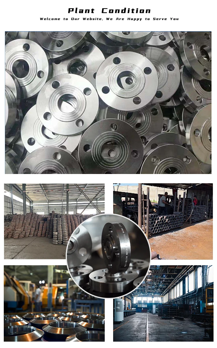 Customized ASTM carbon steel forged flange for Various Sizes factory