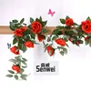 16 plants de rosiers rouges