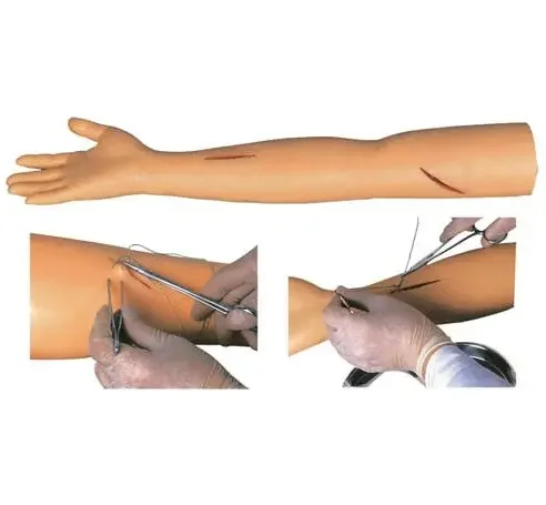 Медицинская модель анатомии человека, хирургический разрез и тренировочная ручка для швов с имитацией ПВХ материала