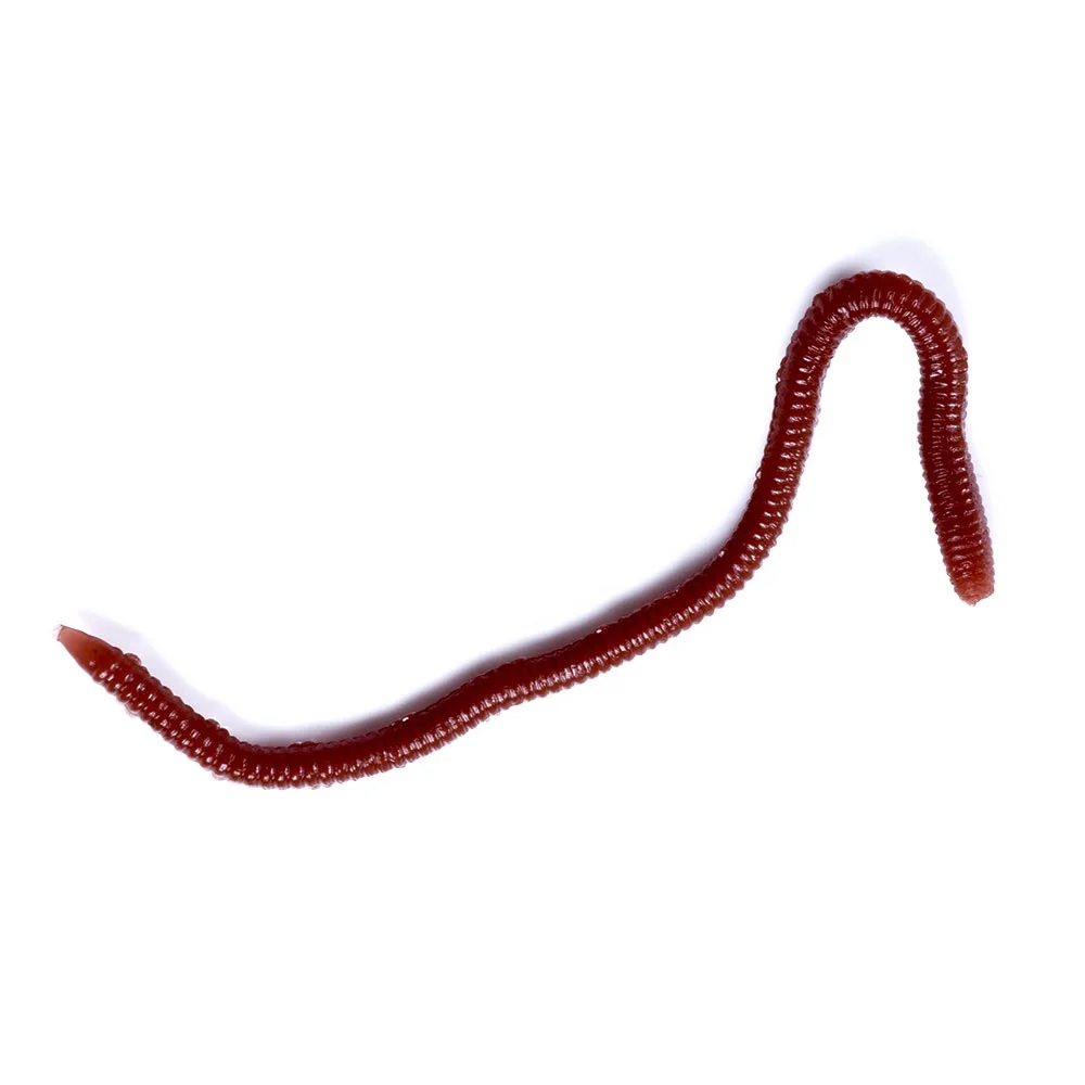 Esca per pesca a mosca, esche Squirmy Wormy, materiale