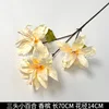 Three-headed Lily - Champagne