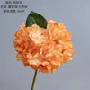 Light orange