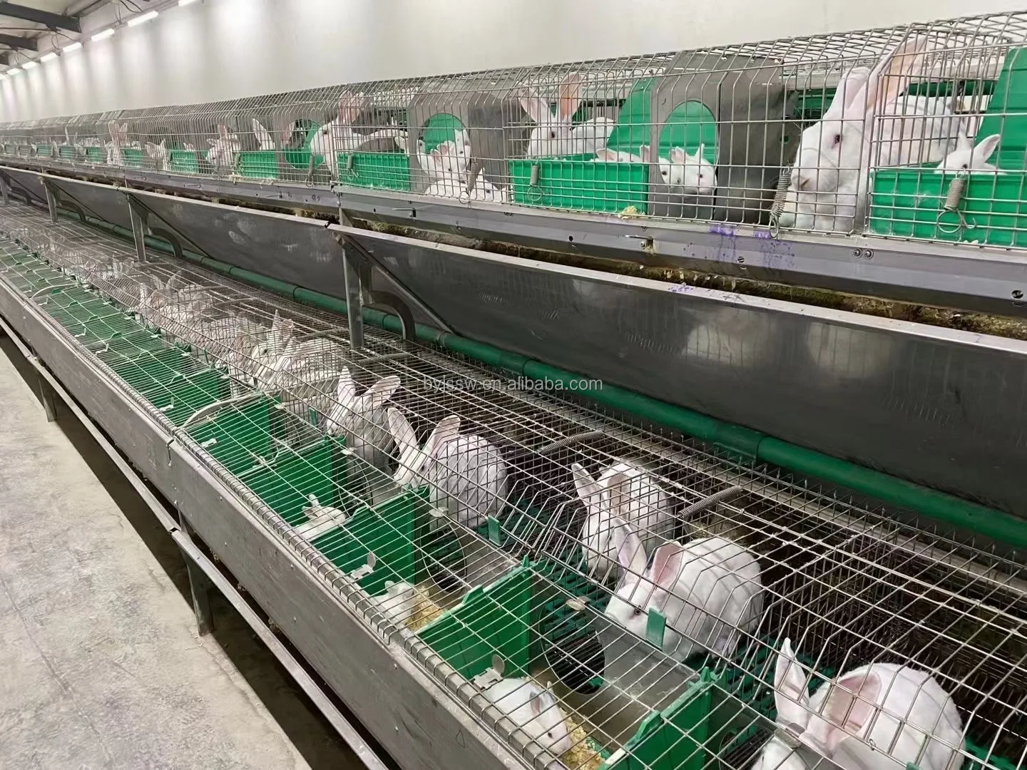 Rabbit Farm Commercial Rabbit Cages for Sale Cheap Galvanized Welded Rabbit Cage Wire Mesh Alibaba