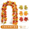 เถาเมเปิ้ลฤดูใบไม้ร่วง 32 หัว - B [1.75ม.]
