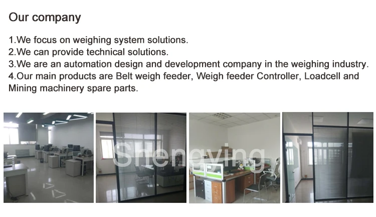 Schenck Process Intecont Tersus Veg20650 Indicator For Weigh Feeder ...