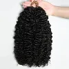 Crochet Human Hair burmese Curly