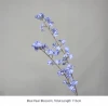Blue Pear Blossom