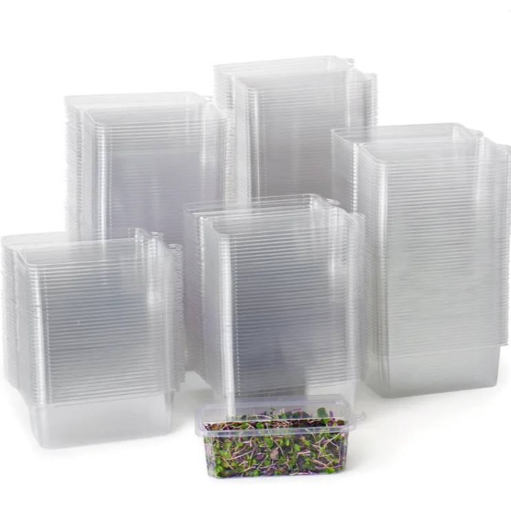 2 Oz Clear Pet Plastic Clamshell Package For Herb Packaging Box