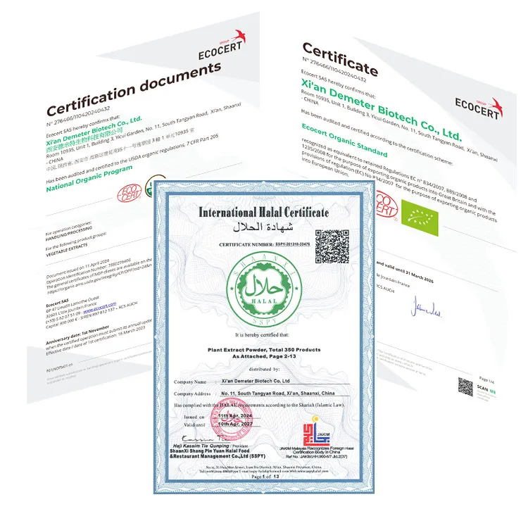 High Quality Natural Food Grade 10:1 Shatavari Extract Powder Asparagus Racemosus Herbal Extract Drum Packaging