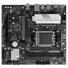 PRO B650M-X DDR5