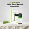 Hierba de limón