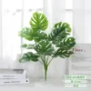 12 feuilles de tortue - bord blanc - pièces séparées