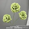3 leafless roses