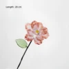 January carnation
