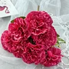 Rose madder