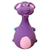 Viola