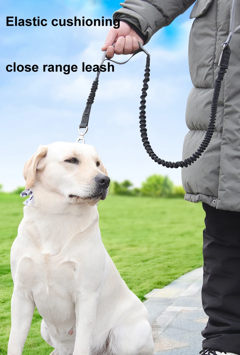 E-commerce New Explosion-proof Pet Leash Reflective Dog Outdoor ...