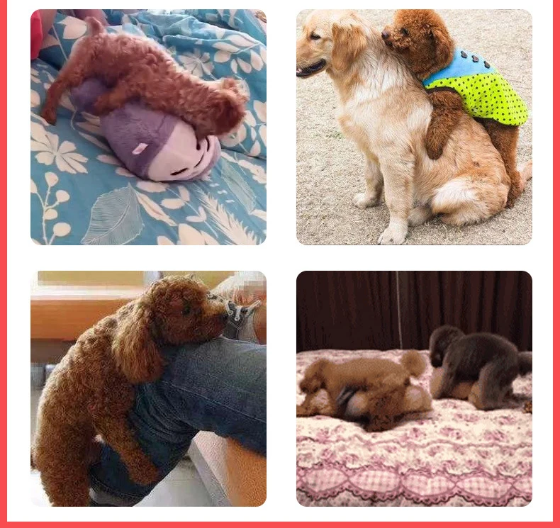 Hot Sales Eco-Friendly Cartoon Dog Sex Toy Pet Sex Toys for Dogs