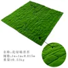 Mousse murale verte florale