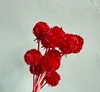 สีแดง