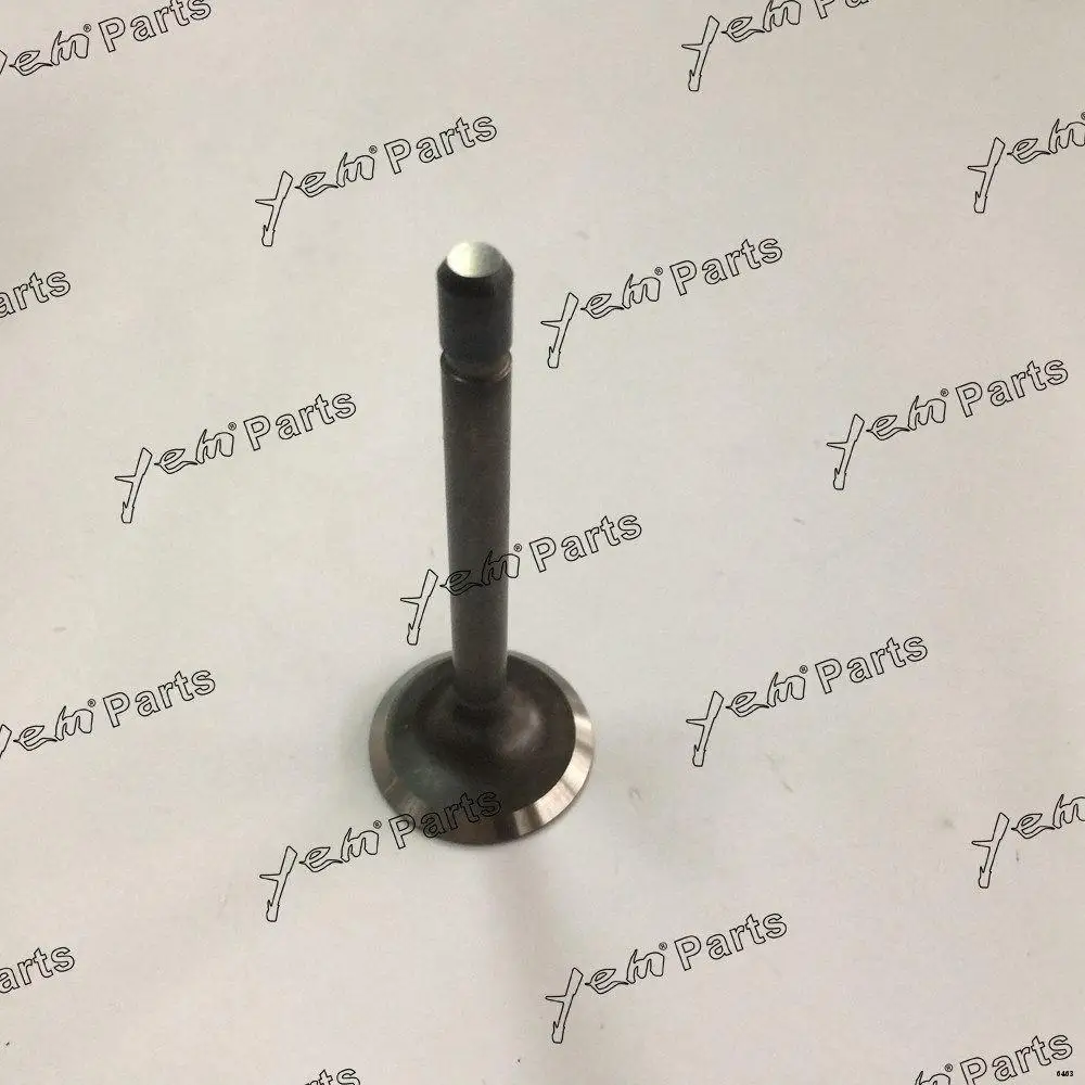 EA300 Intake Valve Kit 14972-13110 for Kubota