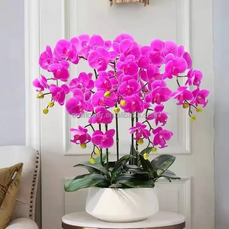 B2232 Wholesale Real Touch Artificial Orchid Flowers Orchid White