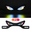 P1