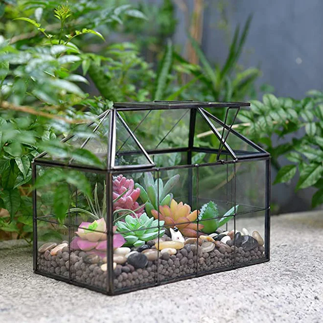 Large Glass Plant Terrarium – House Succulent Glass Terrarium Kit with Lip  Glass Greenhouse Terrarium for Plant (Black 1)
