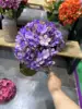 Violeta