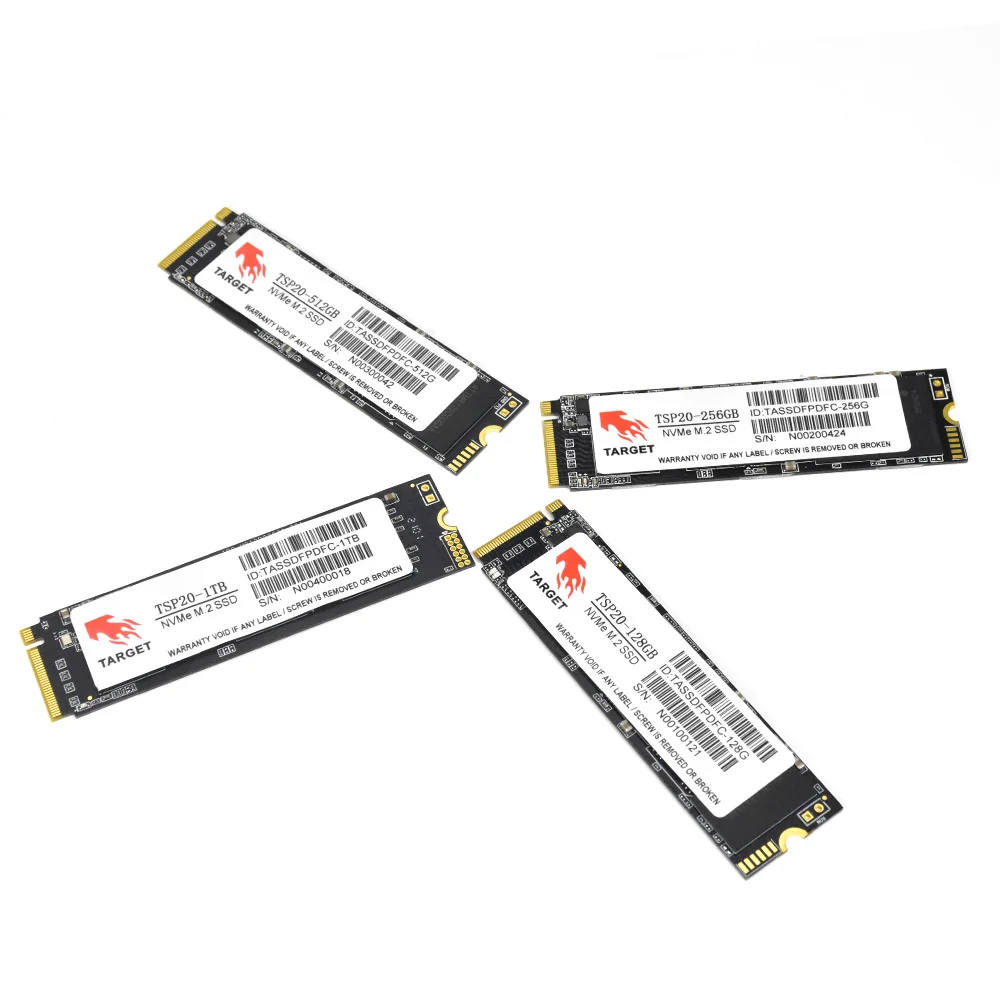 Target M.2 PCIe NVMe SSD: Reliable Internal Storage Options
