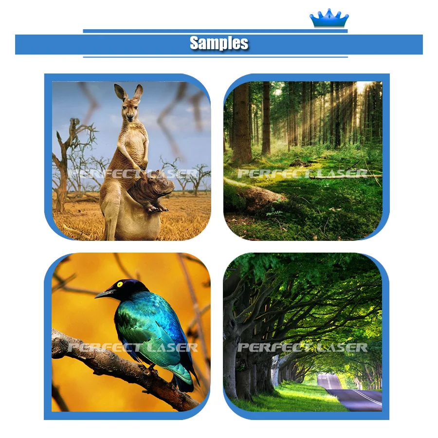 High Resolution 3D 4D 5D Zeescape Direct Imaging Mural Wallpaper Printing Machine Wall Printer Price