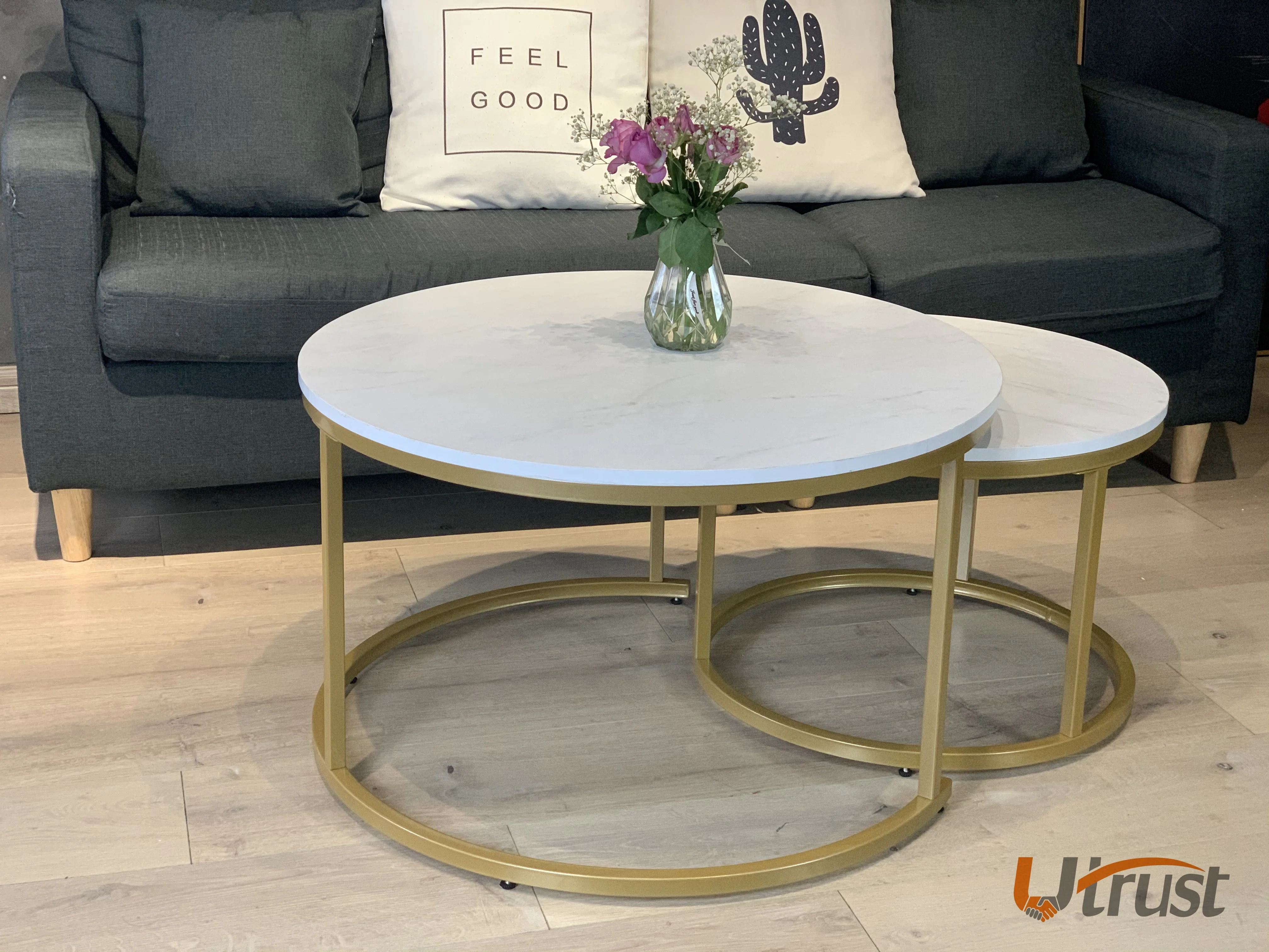 Popular Simple Steady MDF Coffee Tables Italian Design Stainless Steel Side Table Modern Coffee Sets Coffee Table Golden Legs
