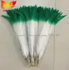 Blanc avec vert pointe