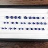Fiordaliso blu