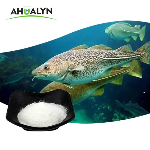 MUI Halal Type I Fish Collagen Powder Collagen Peptide with Best Price