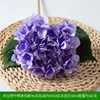 Hydrangea with leaves light purple