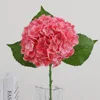 Rosa oscuro