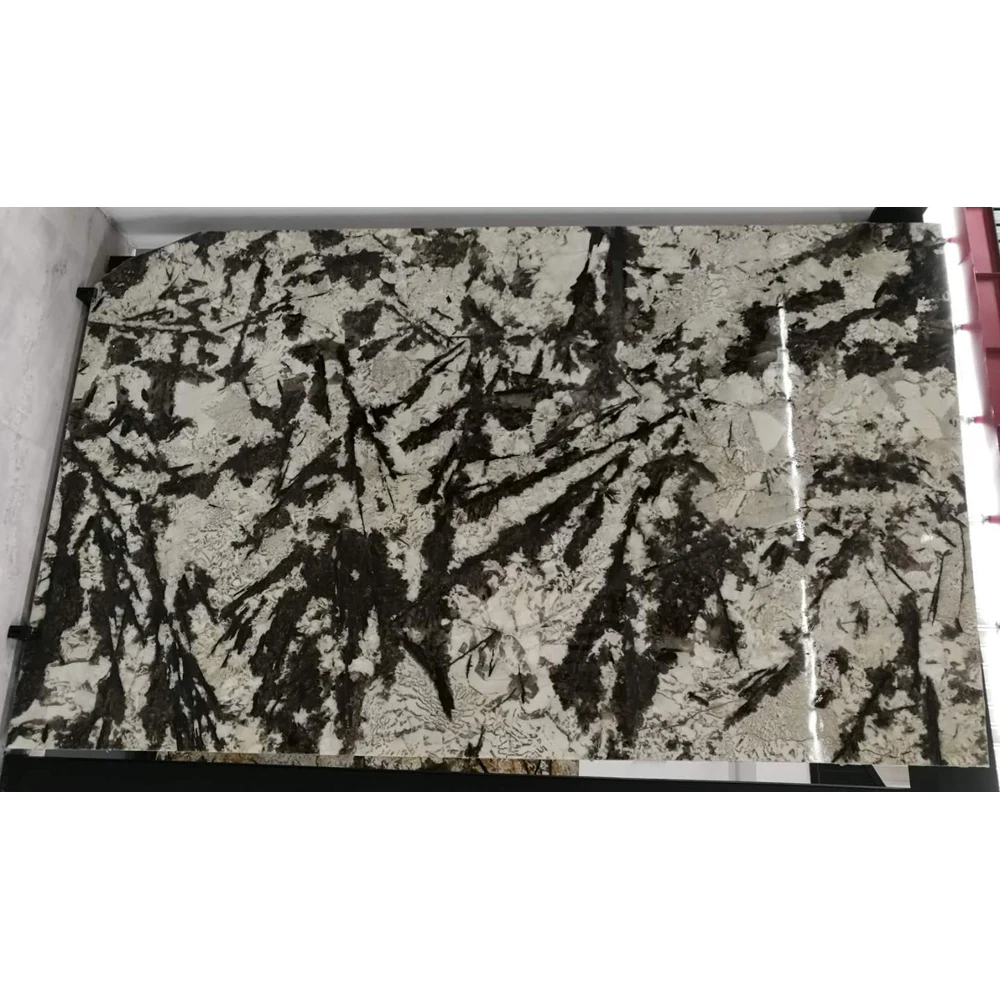 SH STONE Brazil Snow White Granite Slab Honed Snow White Granite Price Snow White Granite